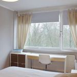 Sunny room for rent in Ixelles, Brussels