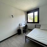 Rent 4 bedroom apartment of 72 m² in NANCY