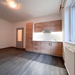 Rent 1 bedroom apartment of 29 m² in Humpolec