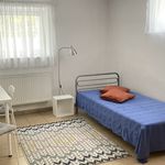 Rent 5 bedroom apartment of 11 m² in Poznań