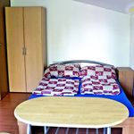 Rent 1 bedroom apartment of 1993 m² in Číhošť