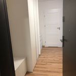 Rent 1 bedroom apartment of 33 m² in Poznań
