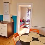 Rent 1 bedroom apartment of 34 m² in Radom