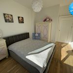 Rent 5 bedroom house of 152 m² in Szczecin