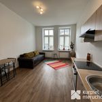 Rent 1 bedroom apartment of 28 m² in Przemyśl