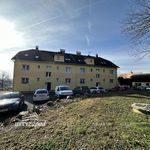 Rent 3 bedroom apartment of 73 m² in Brno