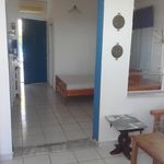 Ενοικίαση 1 υπνοδωμάτια διαμέρισμα από 33 m² σε Mytilene