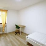 Rent a room of 90 m² in Düsseldorf