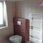 Rent 2 bedroom apartment of 76 m² in Horni Benesov