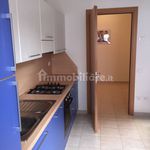 Rent 2 bedroom apartment of 55 m² in Lanciano