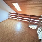 Rent 2 bedroom apartment of 62 m² in Basel