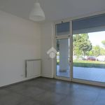 Affitto 1 camera appartamento di 50 m² in Pescara