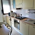 Rent 1 bedroom apartment of 67 m² in Roma