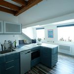 Rent 1 bedroom apartment of 32 m² in Roubaix