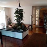 Affitto 4 camera appartamento di 100 m² in Florence