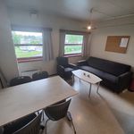 Rent a room of 75 m² in Hønefoss