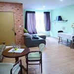 Rent 1 bedroom apartment of 42 m² in Teplice
