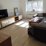 Rent 1 bedroom apartment of 75 m² in Zagreb