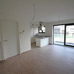 Rent 2 bedroom apartment of 80 m² in Overijse