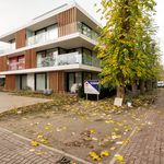 Rent 2 bedroom apartment of 89 m² in Veurne