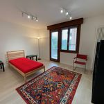 Affitto 3 camera appartamento di 120 m² in Padova