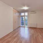 Pronajměte si 1 ložnic/e byt o rozloze 800 m² v Jáchymov
