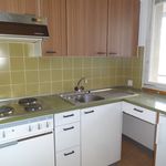 Rent 1 bedroom apartment of 30 m² in Schaffhausen