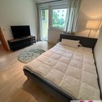 Rent 1 bedroom apartment of 34 m² in Nuremberg