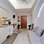 Rent 1 bedroom apartment of 55 m² in Roma