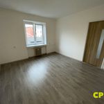 Rent 3 bedroom apartment of 58 m² in Brno