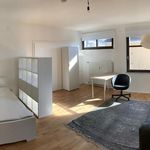 Rent 1 bedroom apartment of 48 m² in Darmstadt