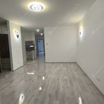 Rent 4 bedroom apartment of 103 m² in Budapest
