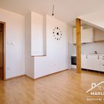 Rent 2 bedroom apartment of 46 m² in Kutná Hora
