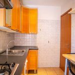 Rent 2 bedroom apartment of 83 m² in Roma