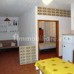 Rent 3 bedroom apartment of 50 m² in Praia a Mare