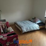 Rent 1 bedroom apartment of 60 m² in Sokolov