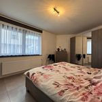 Rent 2 bedroom apartment of 116 m² in Wetteren
