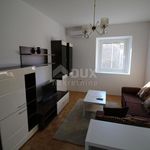 Rent 3 bedroom apartment of 73 m² in Vrh