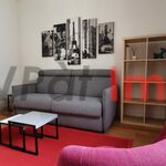 Rent 1 bedroom apartment of 22 m² in Versailles