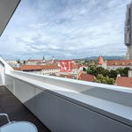 Rent 3 bedroom apartment of 130 m² in Zagreb