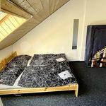 Rent 1 bedroom apartment of 20 m² in Svítkov