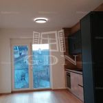 Rent 2 bedroom apartment of 67 m² in Szeged