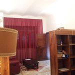 Rent a room of 25 m² in Martinsicuro