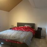 Rent 2 bedroom apartment of 90 m² in Vaux-sur-Sûre