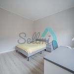 Alquilo 3 dormitorio apartamento de 104 m² en Oviedo