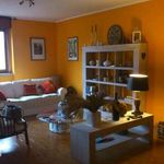 Affitto 3 camera appartamento di 90 m² in Monza