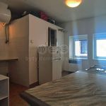 Rent 1 bedroom house of 68 m² in Lysá nad Labem