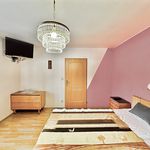 Rent 1 bedroom house of 121 m² in Březina