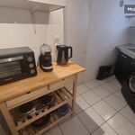 Rent 1 bedroom apartment of 12 m² in Grenoble