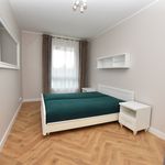 Rent 2 bedroom apartment of 46 m² in Toruń